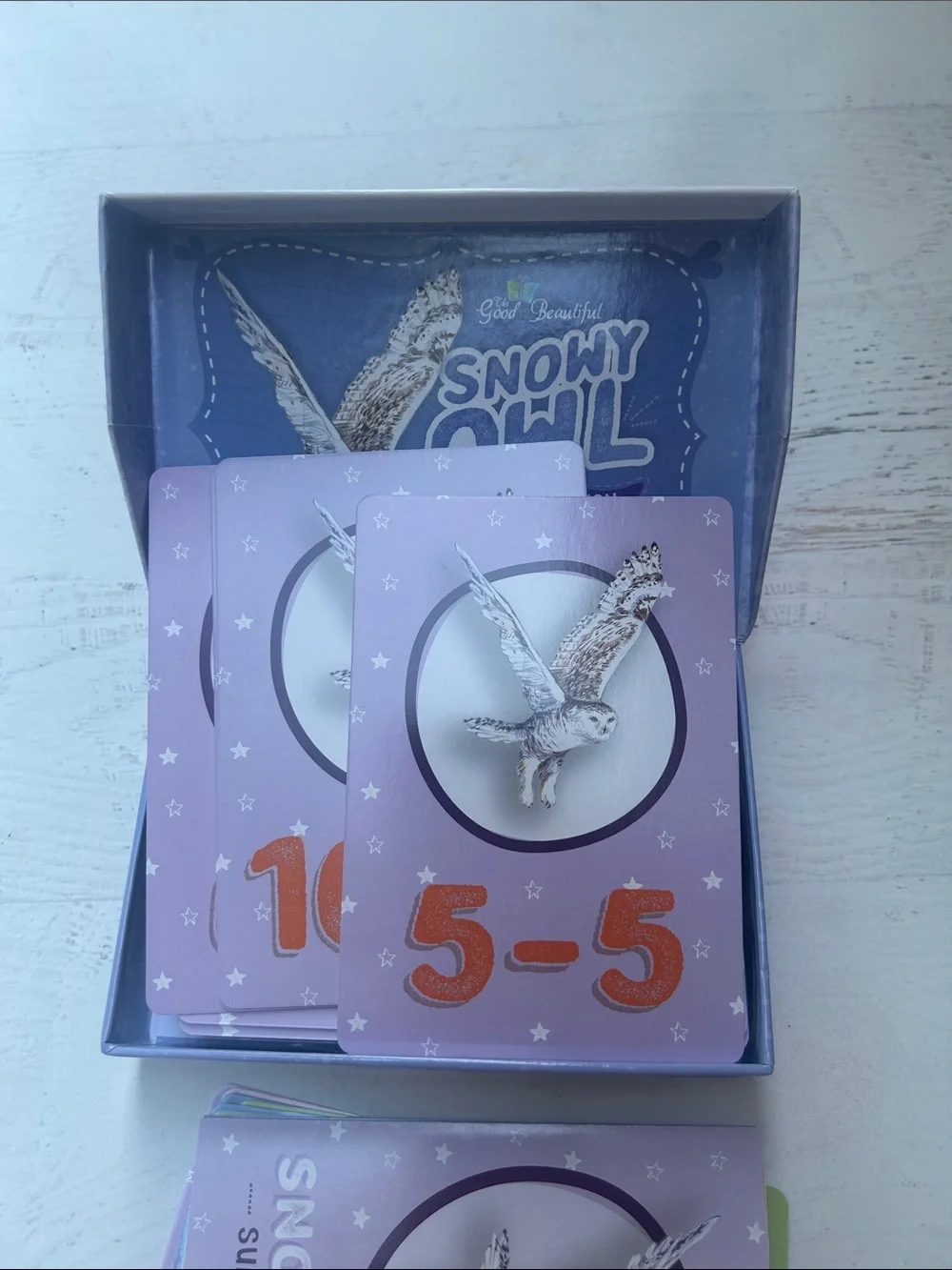 The Good and The Beautiful Anteater Addition and Snow Owl Subtraction